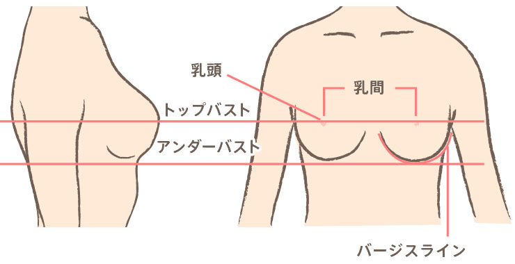 ホルモン